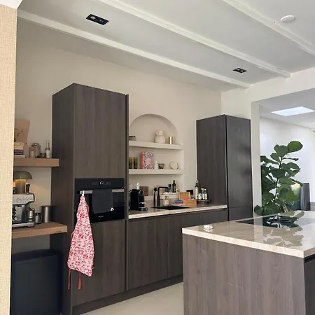 Apartment Haarlems House Close To Center Haarlem